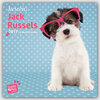 Buchcover Just Jacks - Jack Russel Terrier 2017 - 18-Monatskalender