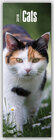 Buchcover Cats – Katzen 2018