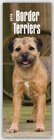 Buchcover Border Terriers 2018