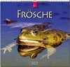 Buchcover Frösche