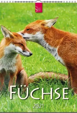 Buchcover ISBN 9783800363605