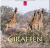 Buchcover Giraffen
