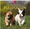 Buchcover Französische Bulldoggen
