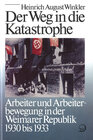 Buchcover Geschichte der Arbeiter und der Arbeiterbewegung in Deutschland seit... / Der Weg in die Katastrophe