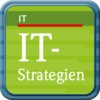 Buchcover Chancen, Umsetzung und Prüfung von IT-Strategien