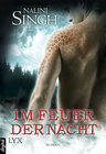 Buchcover Im Feuer der Nacht