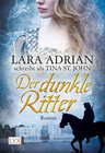 Buchcover Der dunkle Ritter