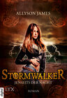 Buchcover Stormwalker - Jenseits der Nacht
