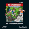 Buchcover Die Feriendetektive: Das Phantom im Bergsee (Audio CD)