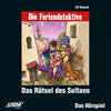 Buchcover Die Feriendetektive: Das Rätsel des Sultans (Audio-CD)