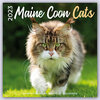 Buchcover Maine Coon Cats – Main Coon Katzen 2023 – 16-Monatskalender