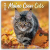 Buchcover Maine Coon Cats – Main Coon Katzen 2024 – 16-Monatskalender