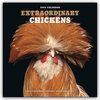 Buchcover Extraordinary Chickens – Außergewöhnliche Hühner 2024 – Wandkalender
