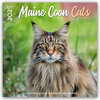 Buchcover Maine Coon Cats – Main Coon Katzen 2025 – 18-Monatskalender