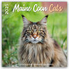 Buchcover Maine Coon Cats – Main Coon Katzen 2025 – 18-Monatskalender – Original Plenty Gifts-Kalender [Mehrsprachig] [Kalender]