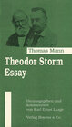 Buchcover Theodor Storm