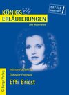 Buchcover Fontane. Effi Briest