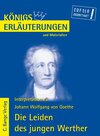 Buchcover Goethe. Die Leiden des jungen Werther