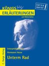 Buchcover Hesse. Unterm Rad