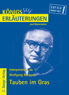Buchcover Erläuterungen  zu Wolfgang Koeppen. Tauben im Gras