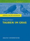 Buchcover Tauben im Gras von Wolfgang Koeppen.
