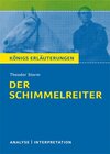 Buchcover Der Schimmelreiter von Theodor Storm