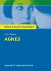 Buchcover Agnes von Peter Stamm.