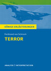 Buchcover Terror von Ferdinand von Schirach.