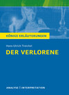 Buchcover Der Verlorene von Hans-Ulrich Treichel.