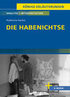Buchcover Die Habenichtse von Katharina Hacker - Textanalyse und Interpretation