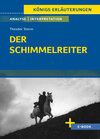 Buchcover Der Schimmelreiter von Theodor Storm - Textanalyse und Interpretation
