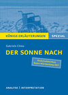 Buchcover Der Sonne nach