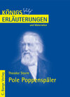 Buchcover Storm. Pole Poppenspäler