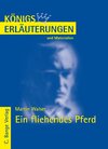 Buchcover Ein fliehendes Pferd von Martin Walser. Textanalyse und Interpretation.