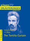 Buchcover The Tortilla Curtain von T.C. Boyle. Textanalyse und Interpretation.