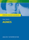 Buchcover Agnes von Peter Stamm. Textanalyse und Interpretation mit ausführlicher Inhaltsangabe und Abituraufgaben mit Lösungen.