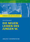 Buchcover Die neuen Leiden des jungen W. von Ulrich Plenzdorf. Textanalyse und Interpretation mit ausführlicher Inhaltsangabe und 