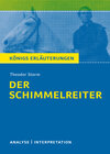 Buchcover Der Schimmelreiter von Theodor Storm.