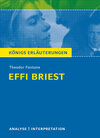 Buchcover Effi Briest von Theodor Fontane.