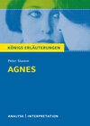 Buchcover Agnes von Peter Stamm. Königs Erläuterungen.