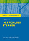 Buchcover Im Frühling sterben von Ralf Rothmann