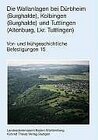 Buchcover Atlas der heute noch sichtbaren vor- und frühgeschichtlichen Befestigungsanlagen / Die Wallanlagen bei Dürbheim, Kolbing