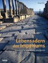 Buchcover Lebensadern des Imperiums