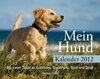 Buchcover Mein Hund - Kalender 2012