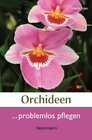 Buchcover Orchideen problemlos pflegen