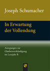 Buchcover In Erwartung der Vollendung