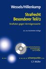 Buchcover Strafrecht Besonderer Teil 2