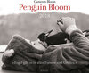 Buchcover Penguin Bloom 2018 Wandkalender