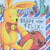 Buchcover Briefe von Felix