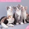 Buchcover Kätzchen 2009
